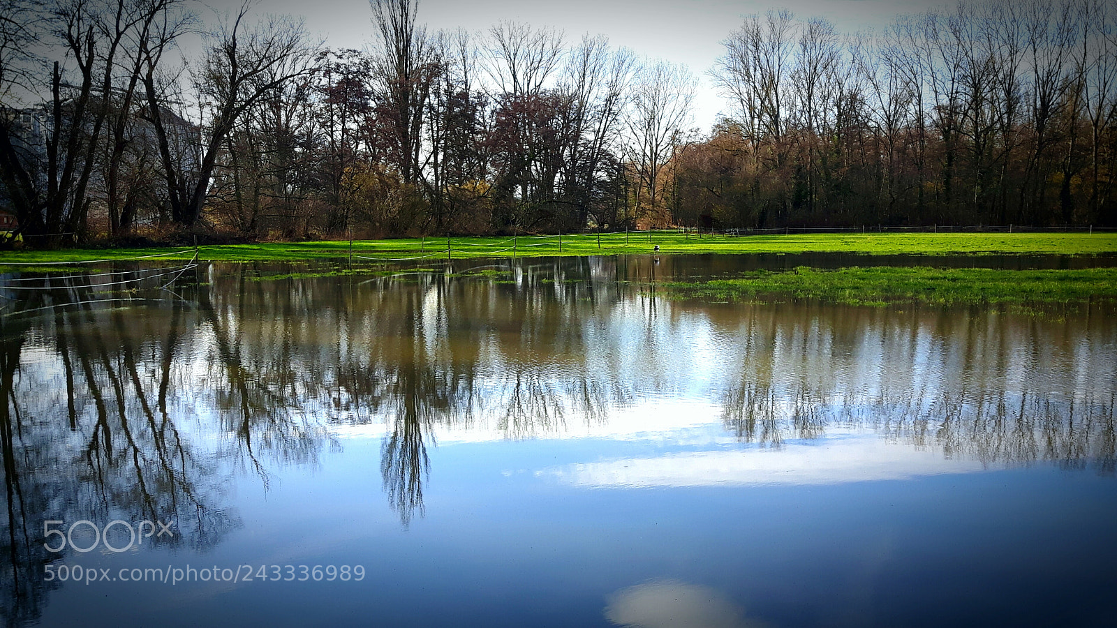 Samsung Galaxy S5 Neo sample photo. Hochwasser photography