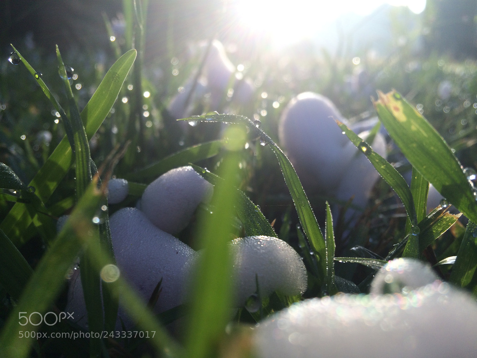 Apple iPhone 5s sample photo. Sunrise photography