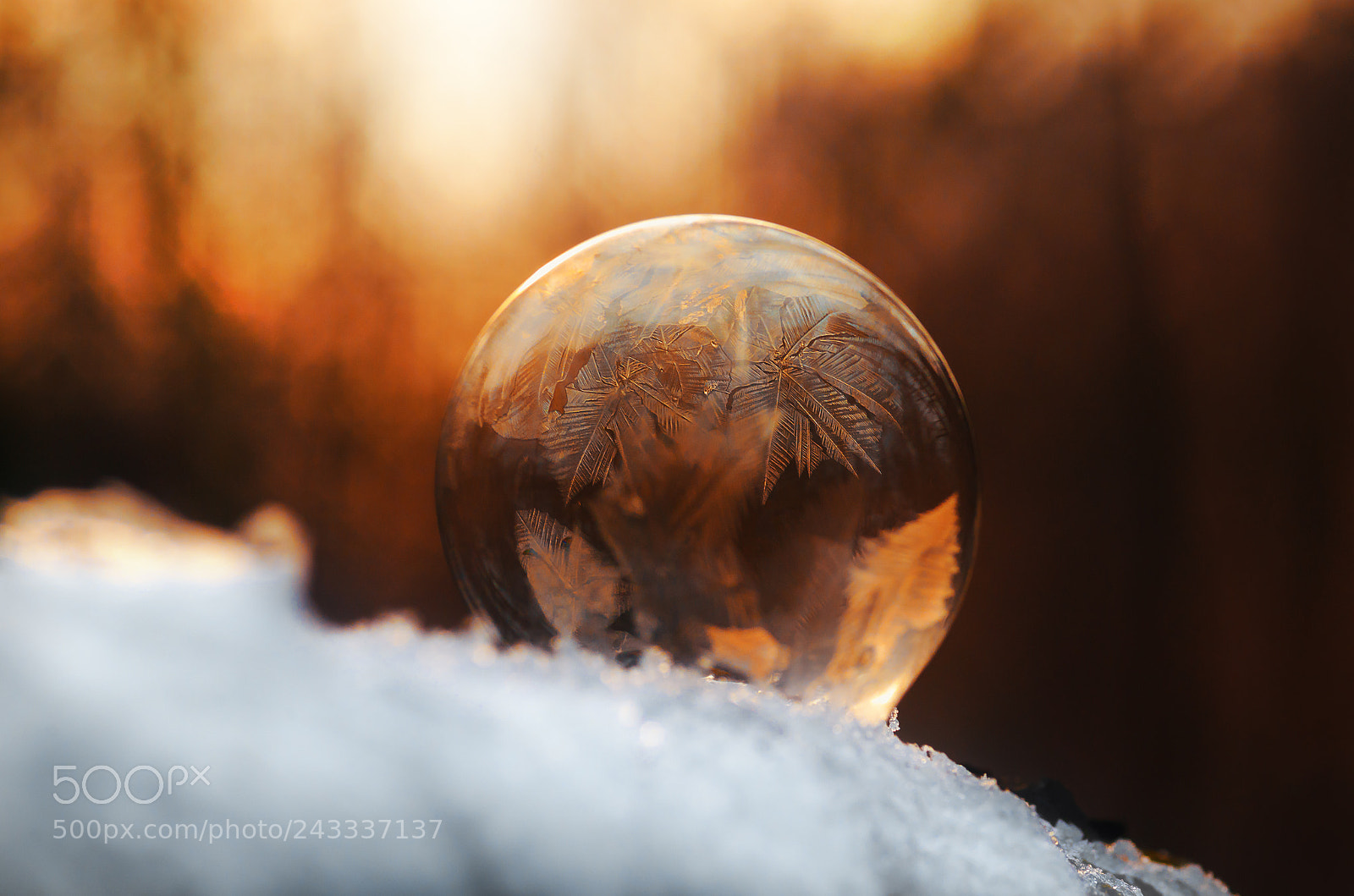 Nikon D5100 sample photo. Winter photography