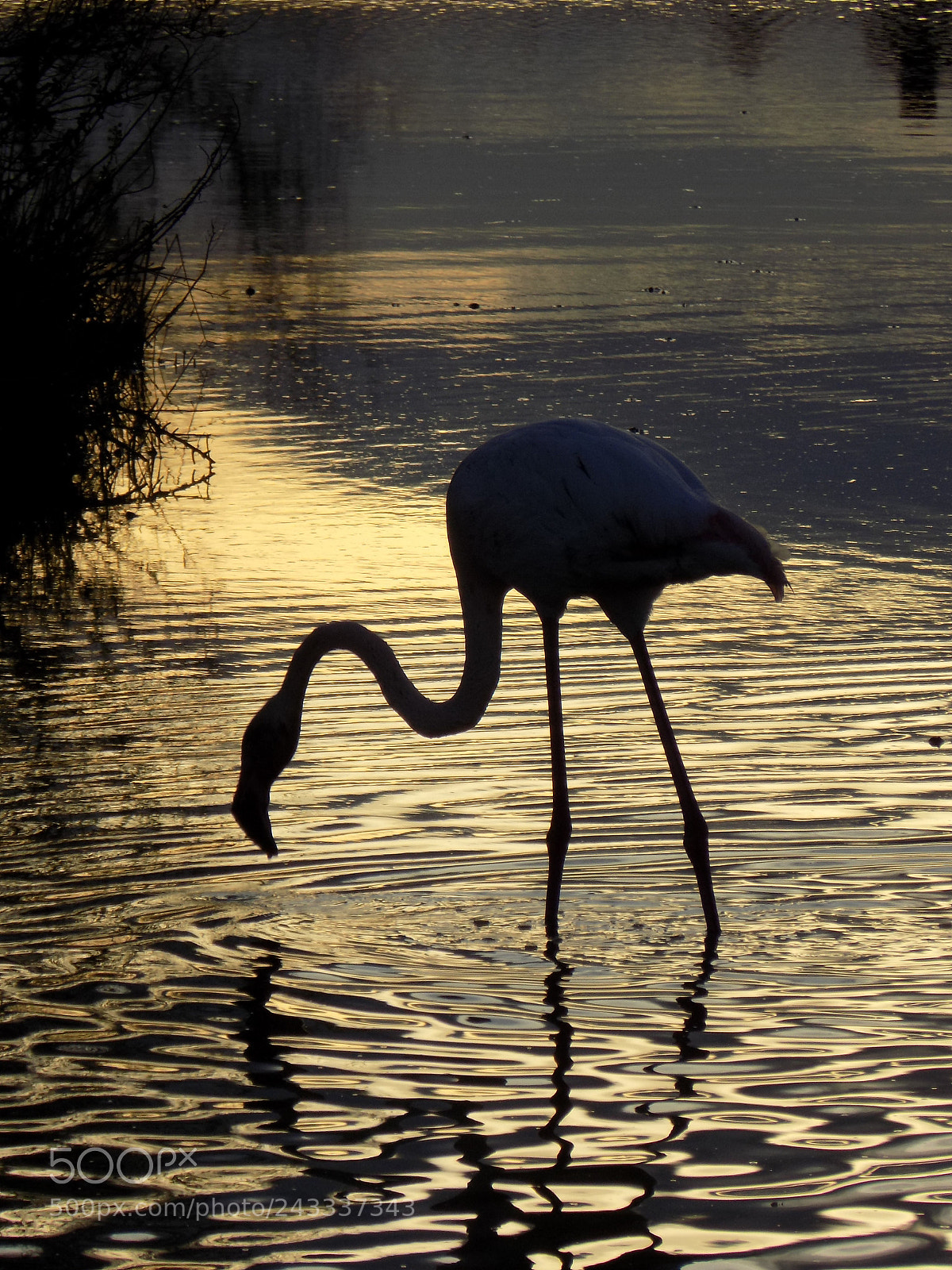 Nikon COOLPIX L340 sample photo. Coucher de soleil photography