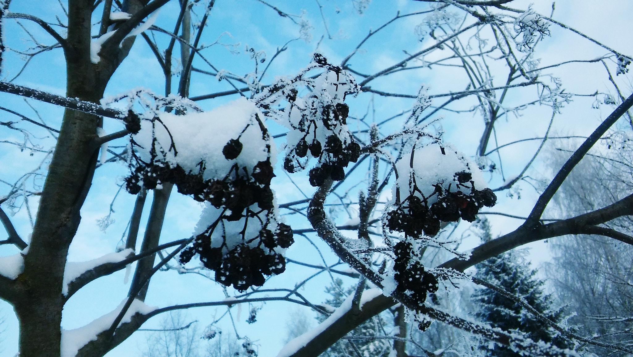 LG SPIRIT 4G LTE sample photo. Wintertime photography