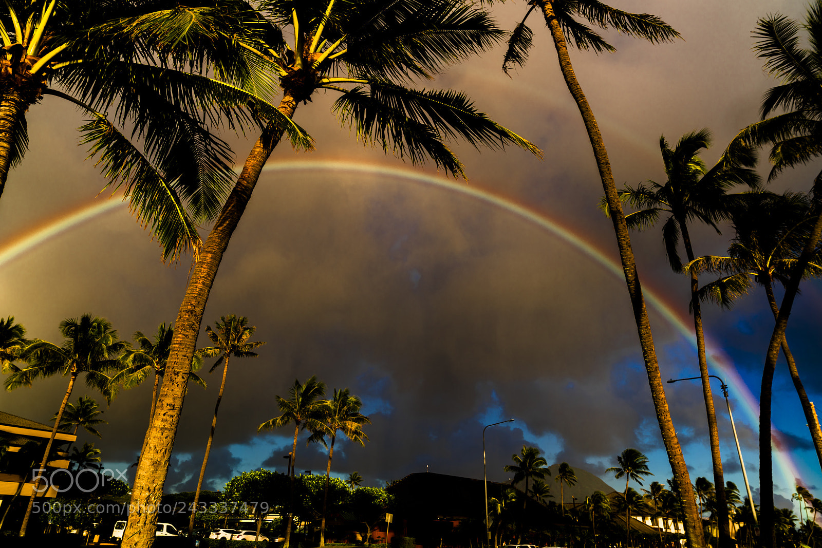 Sony a7R II sample photo. Rainbow, hawaii kia, hi photography