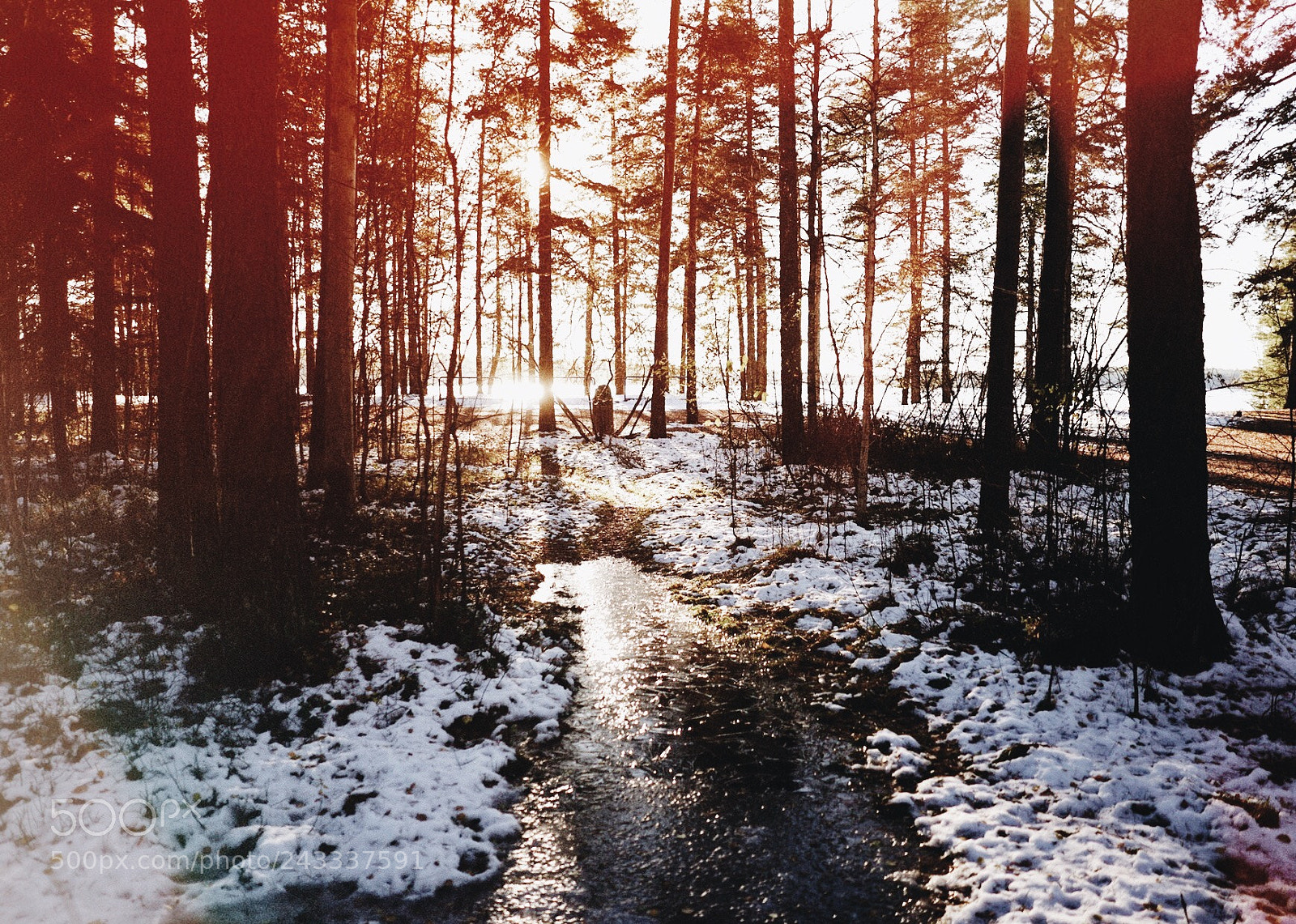Sony a7 II sample photo. Warm x cold pt1 photography