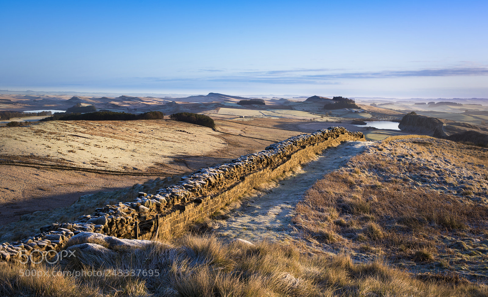 Nikon D810 sample photo. Frosty winshields photography