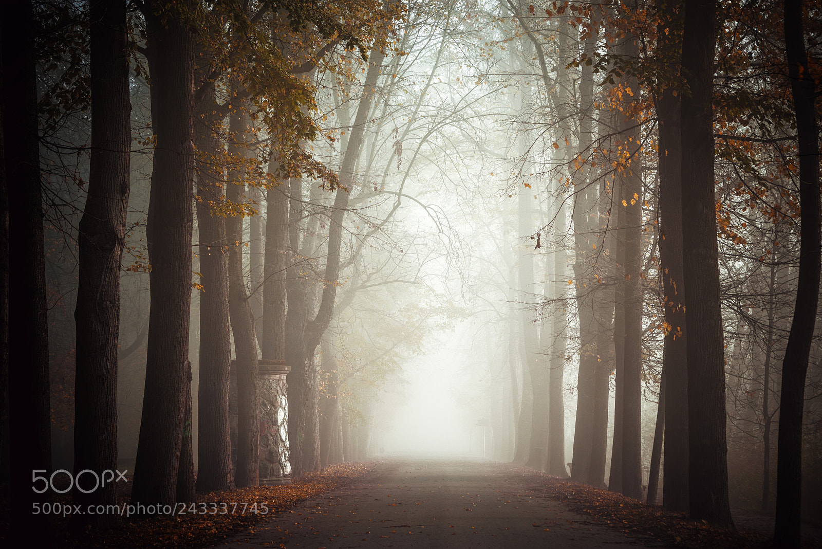 Pentax K-1 sample photo. Stromovka park. photography