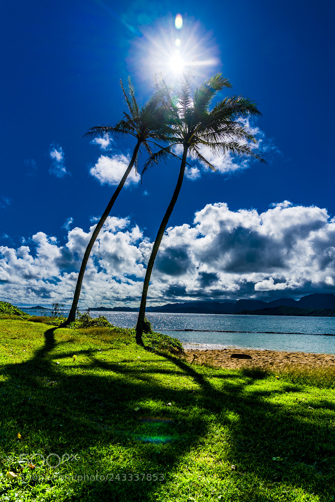 Sony a7R II sample photo. Palms shadow. kualoa, beach photography