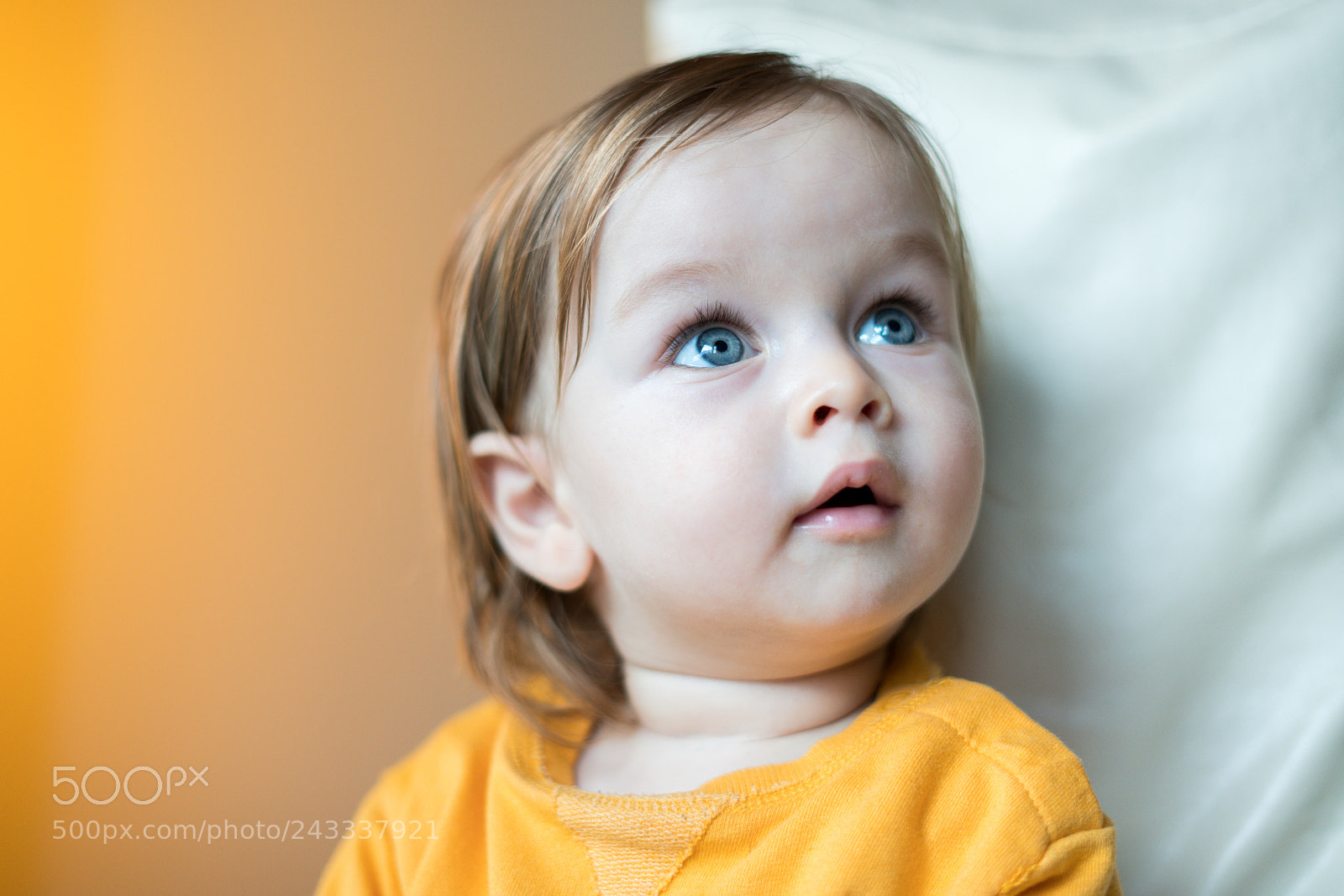 Sony a7R II sample photo. Curiosity photography