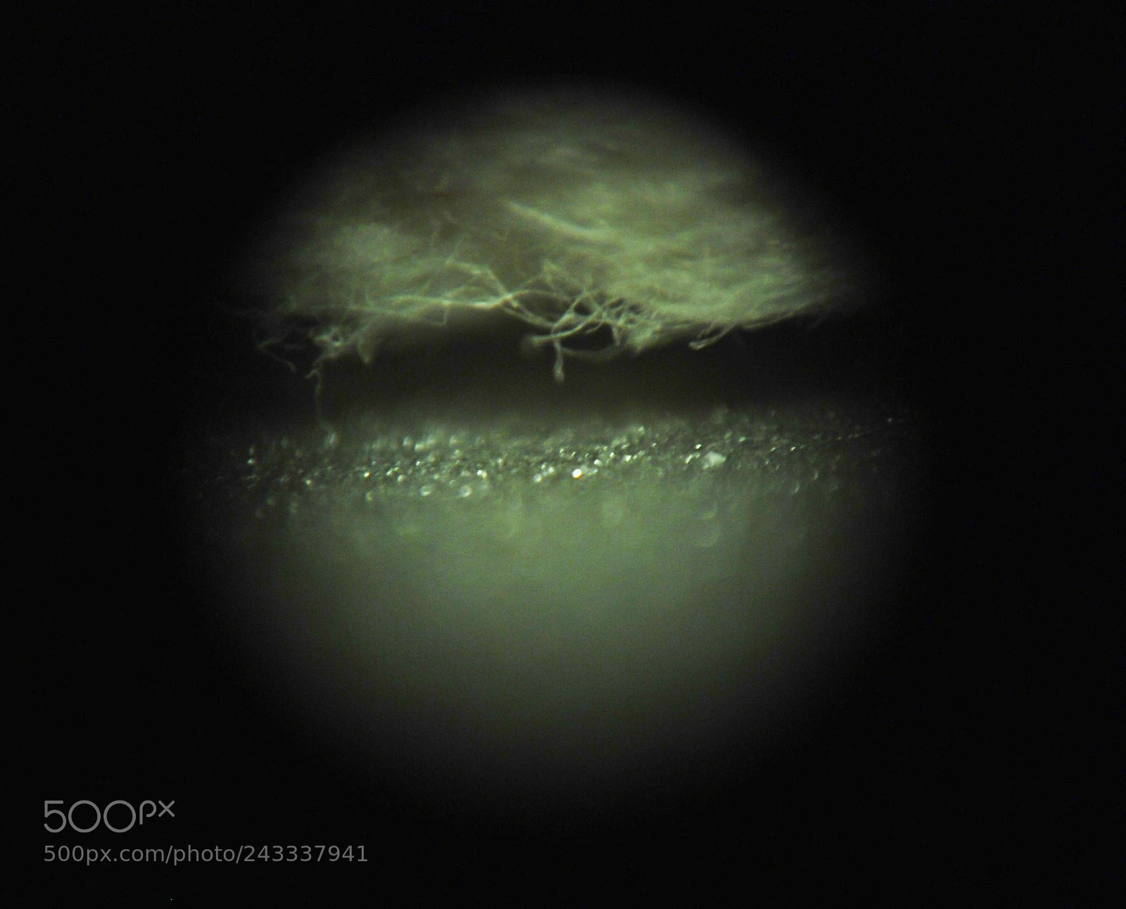 Nikon D80 sample photo. Microscopic moonscapes; rope textures photography
