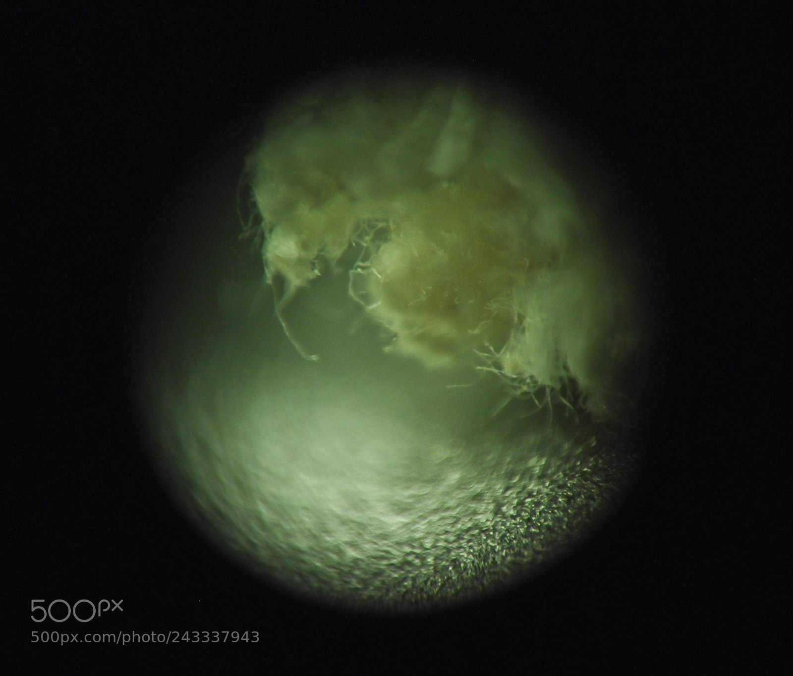 Nikon D80 sample photo. Microscopic moonscapes; rope textures photography