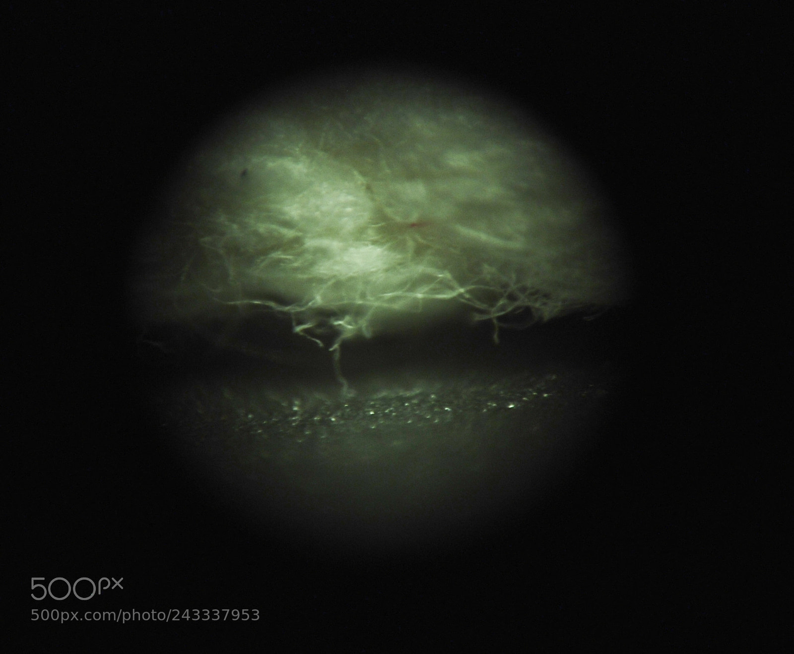 Nikon D80 sample photo. Microscopic moonscapes; rope textures photography
