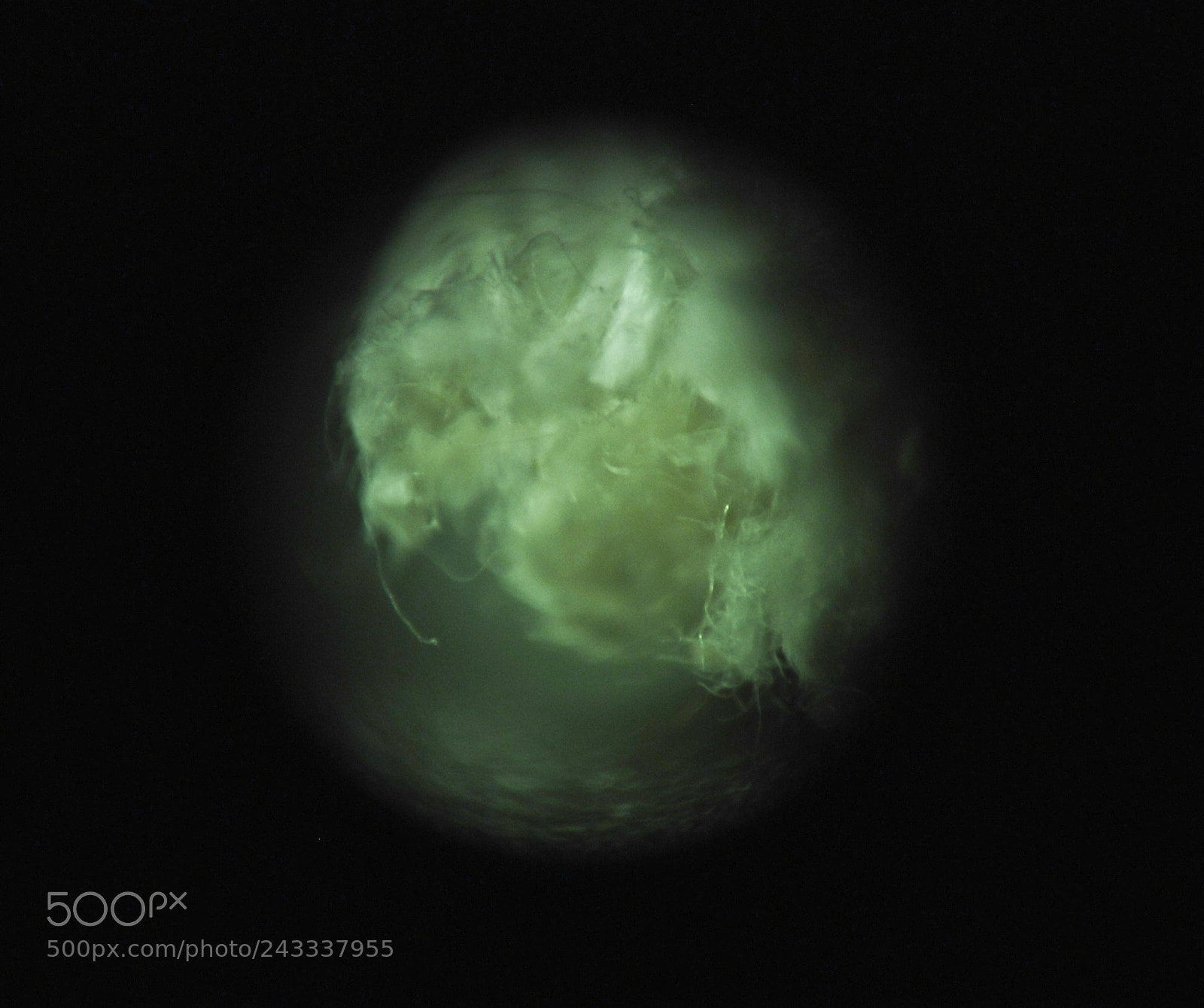 Nikon D80 sample photo. Microscopic moonscapes; rope textures photography