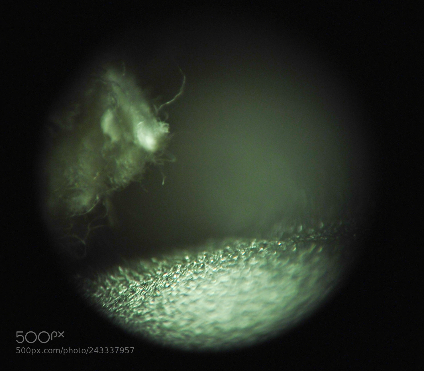 Nikon D80 sample photo. Microscopic moonscapes; rope textures photography