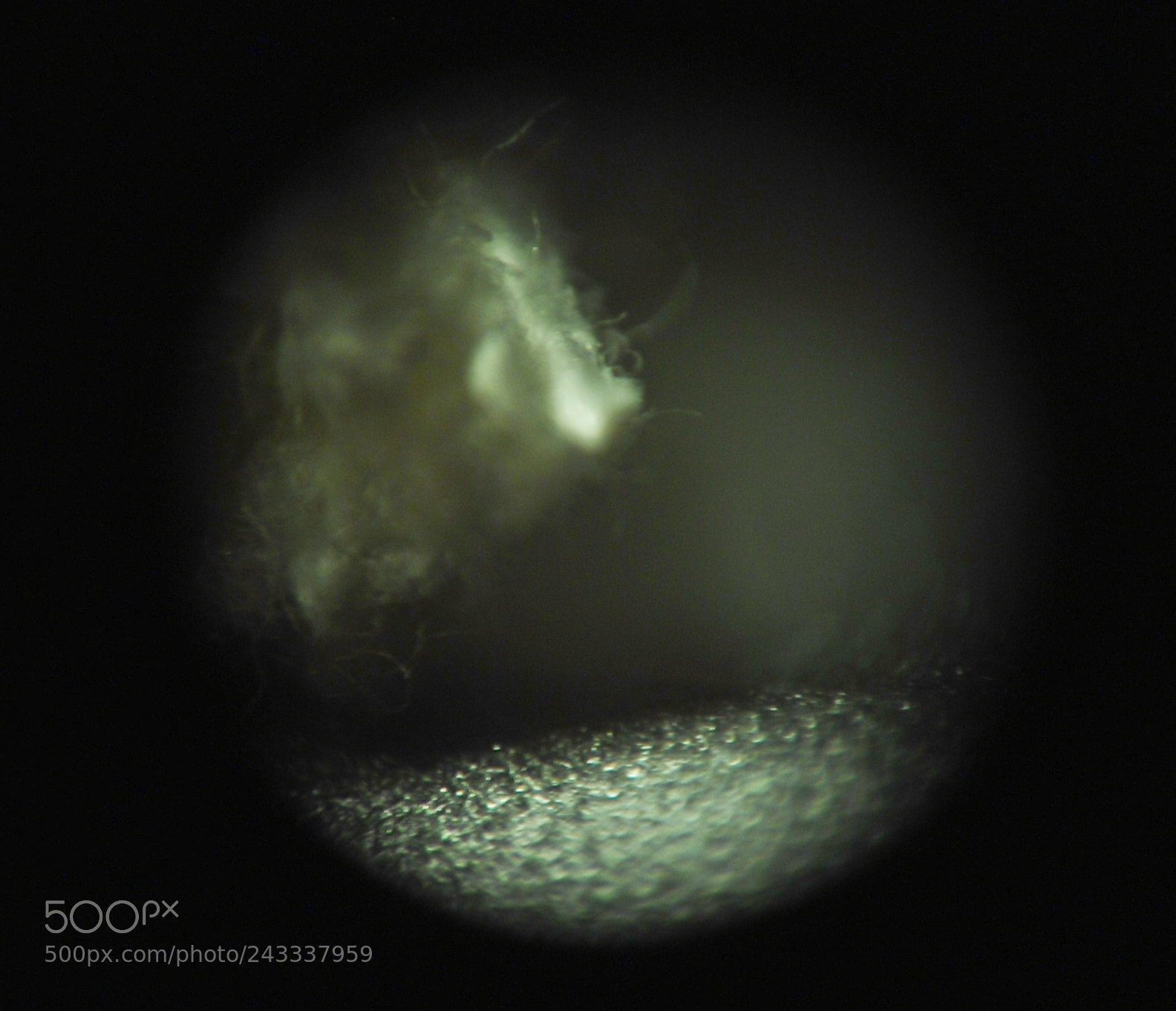 Nikon D80 sample photo. Microscopic moonscapes; rope textures photography