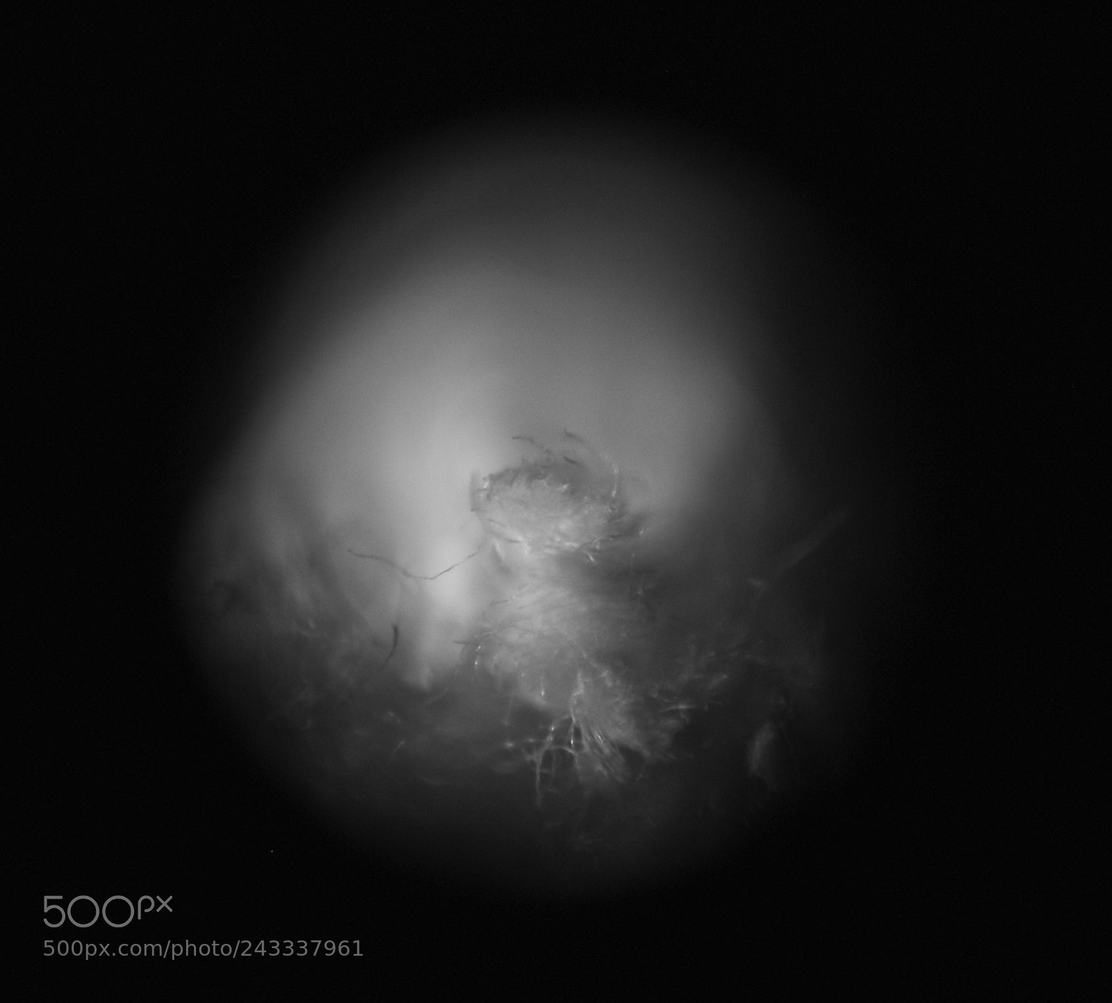Nikon D80 sample photo. Microscopic moonscapes; rope textures photography