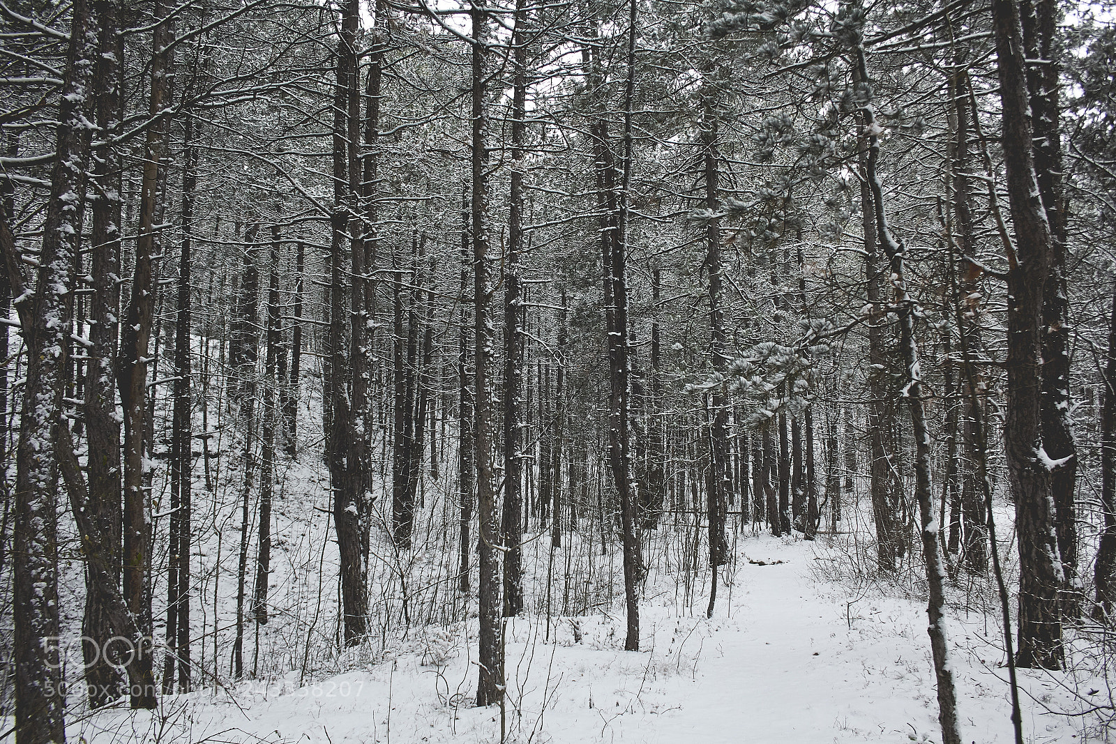 Canon EOS 60D sample photo. Pleasure of solitude photography