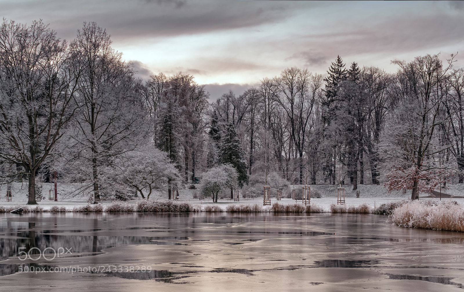 Pentax K-1 sample photo. Stromovka park. photography