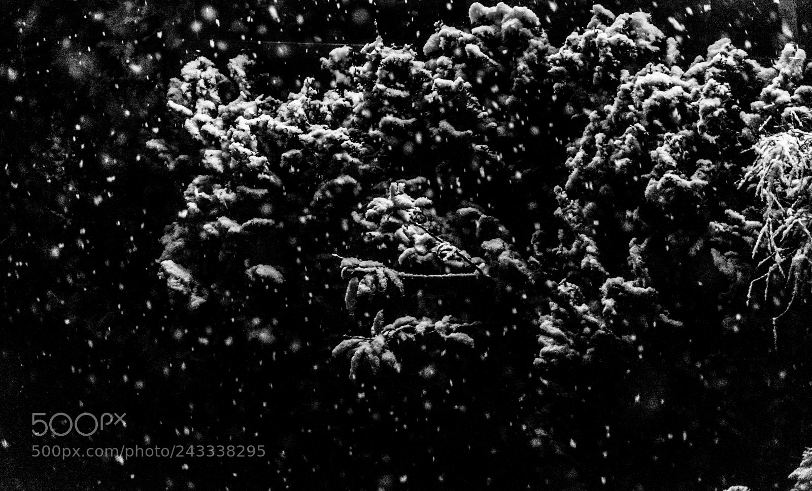 Sony a7 II sample photo. Snowy night photography