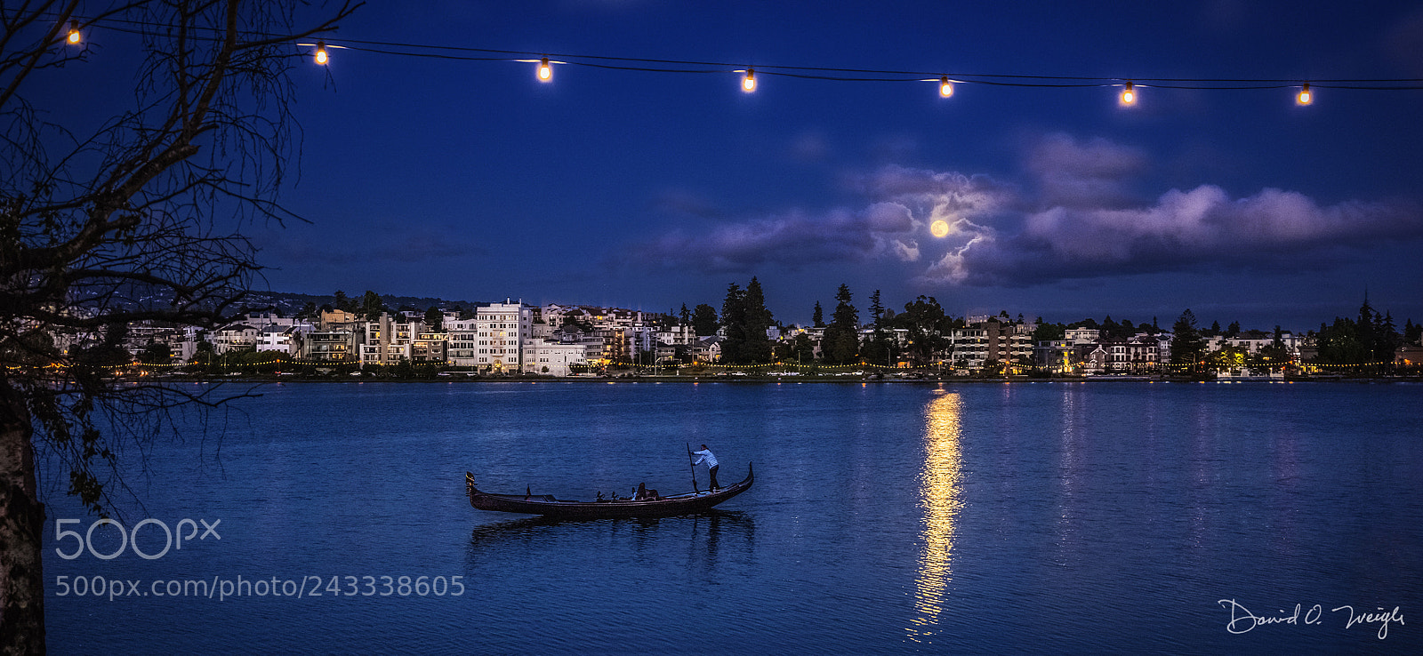 Nikon D810 sample photo. Full moon on the photography