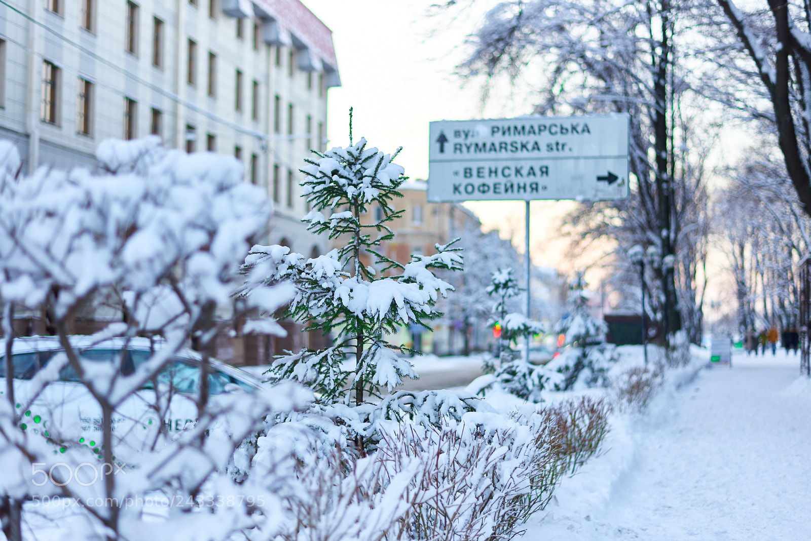 Nikon D800 sample photo. Winter photography