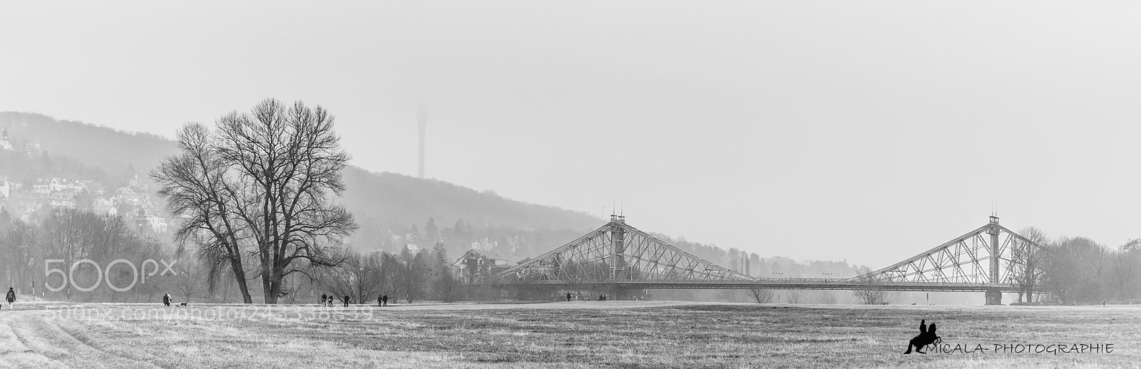 Nikon D600 sample photo. A january day in photography