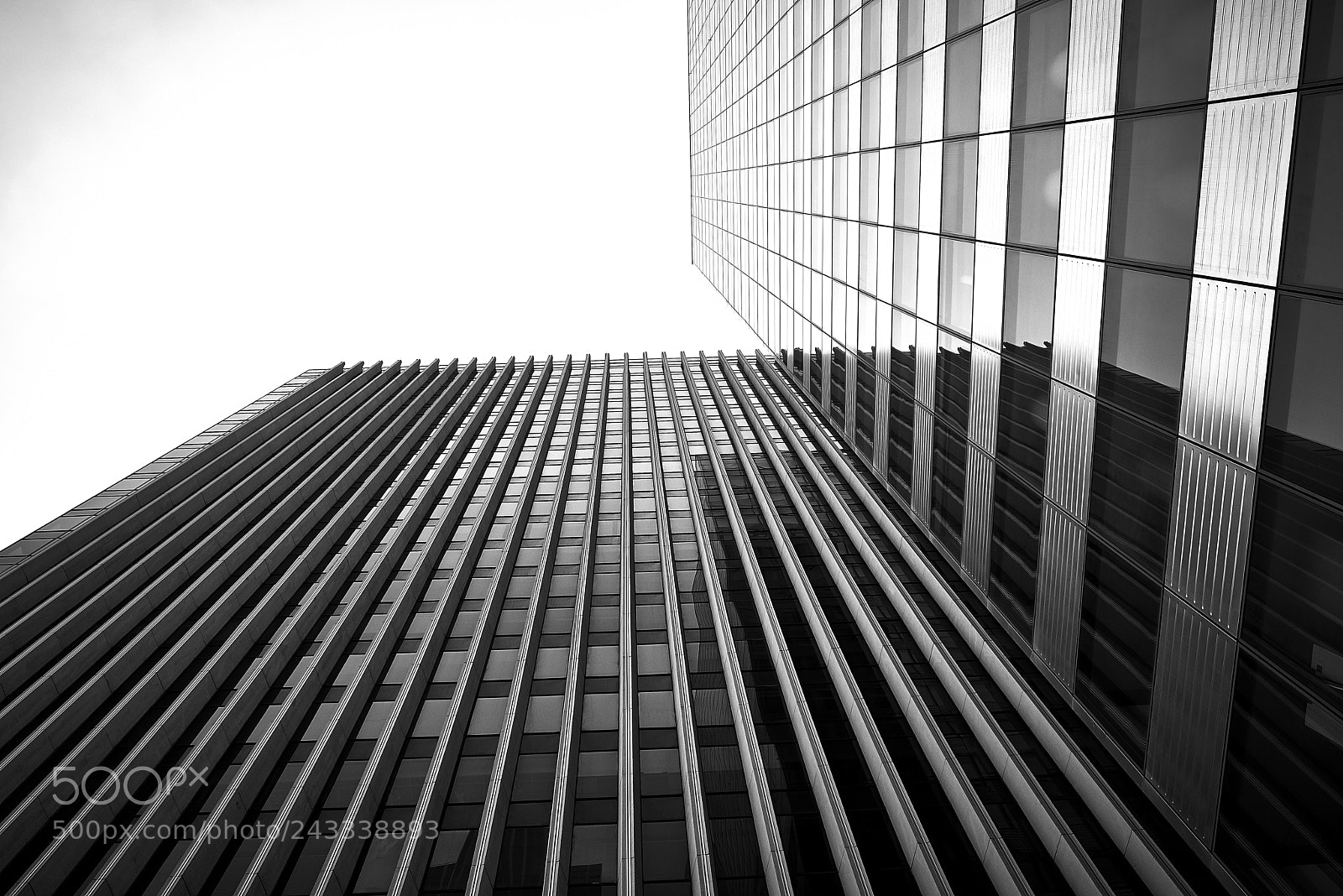 Nikon D810 sample photo. In the sky photography