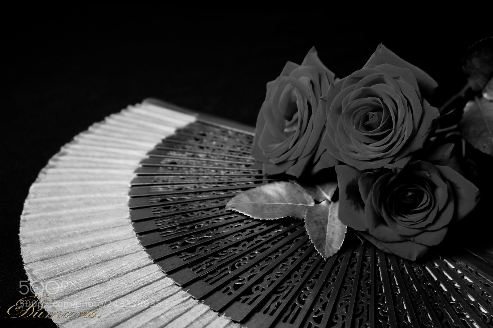 Canon EOS 750D (EOS Rebel T6i / EOS Kiss X8i) sample photo. Un amor photography