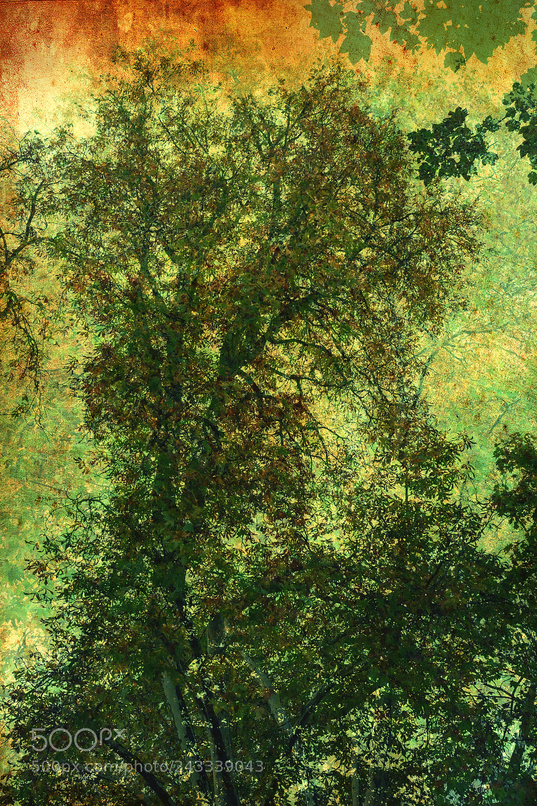 Fujifilm X-A1 sample photo. Painted tree photography