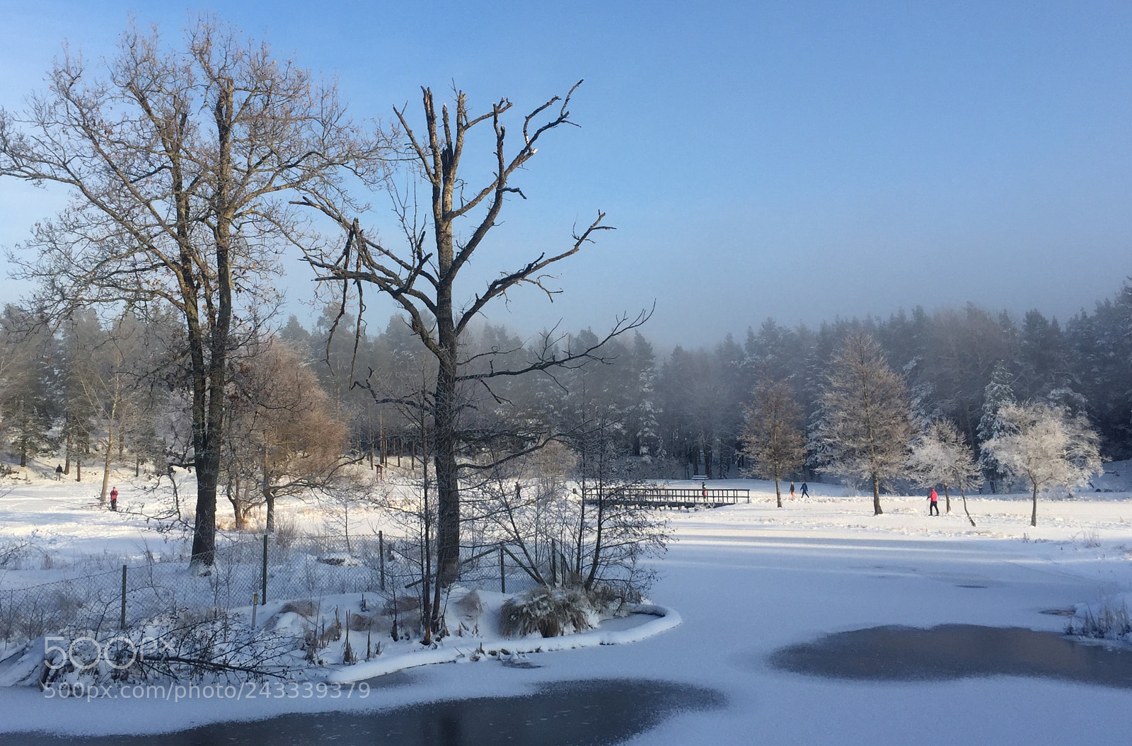 Apple iPhone 6 sample photo. Winter wonderland photography
