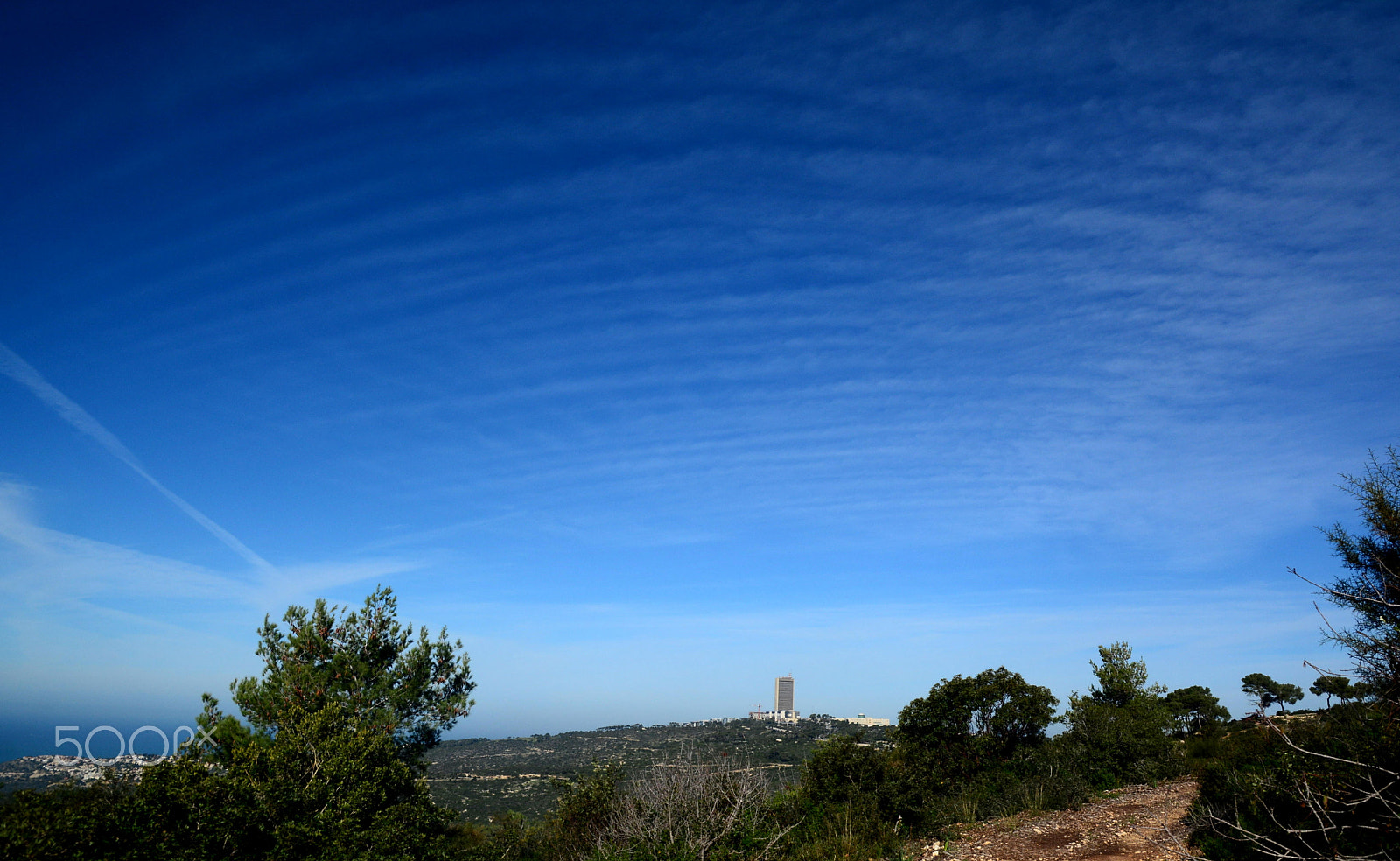 Nikon D7100 sample photo