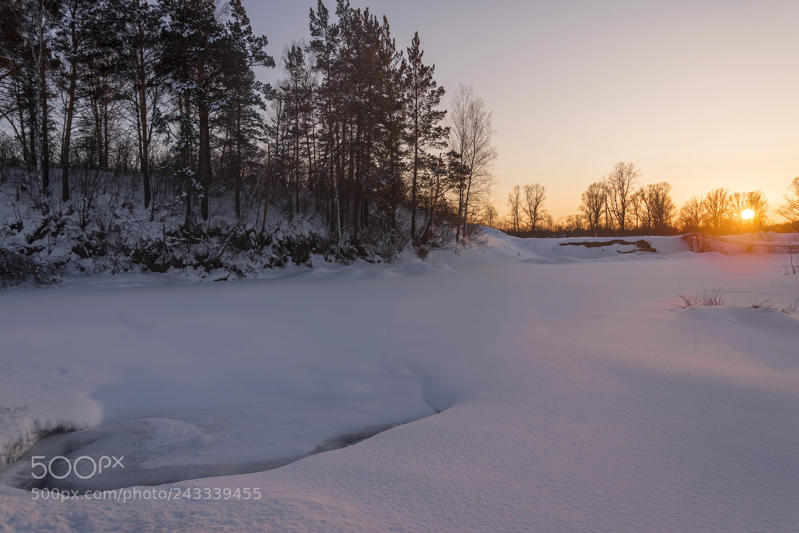 Nikon D610 sample photo. Winter susnet photography