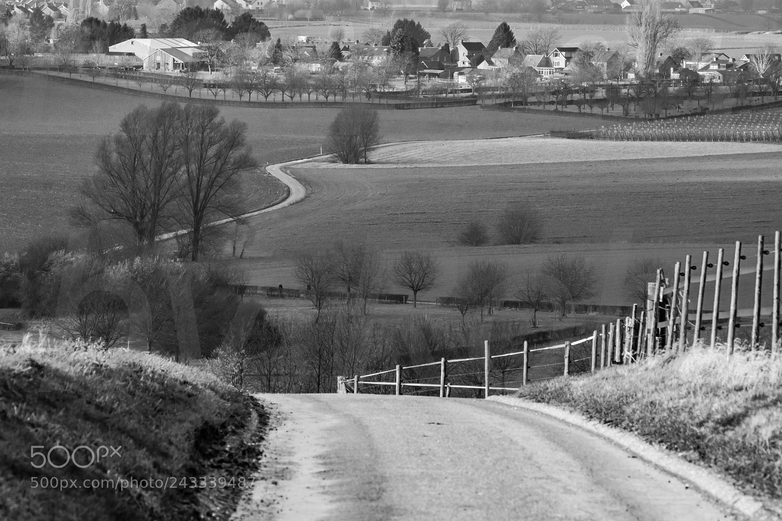 Nikon D7200 sample photo. Curvey road through the photography