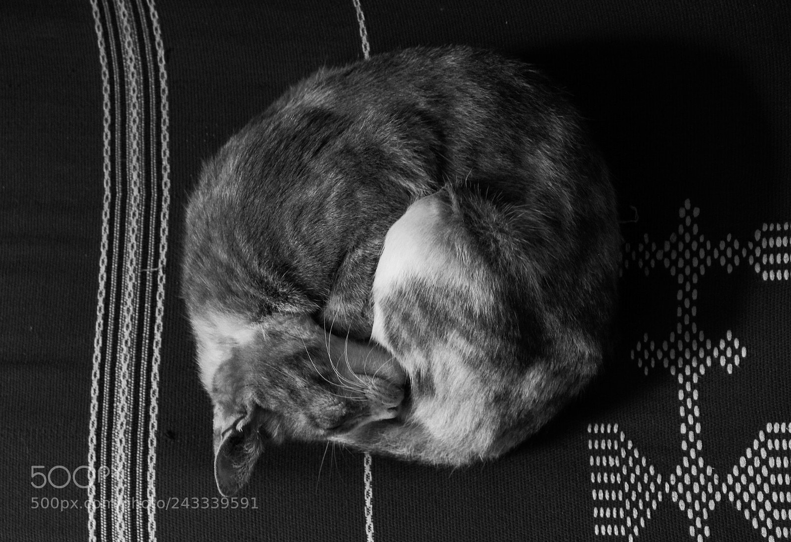 Canon EOS 60D sample photo. Yin yang photography
