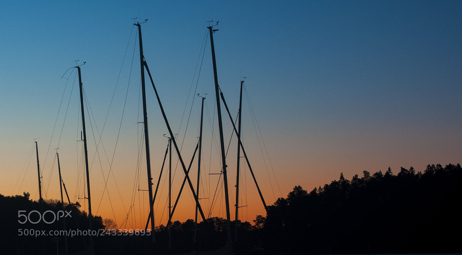 Nikon D90 sample photo. Sailboats photography