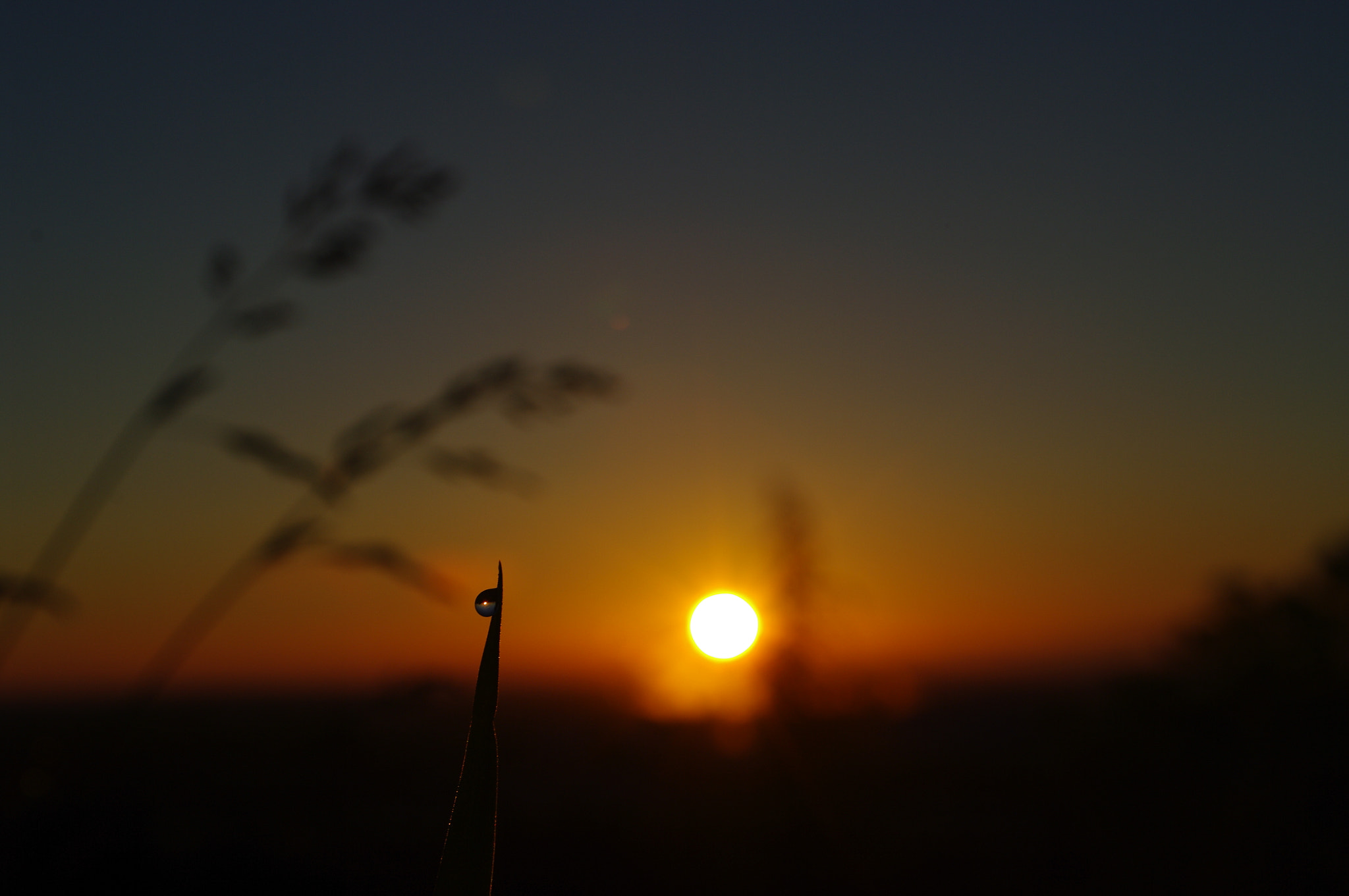 Sigma Lens (8 255) sample photo
