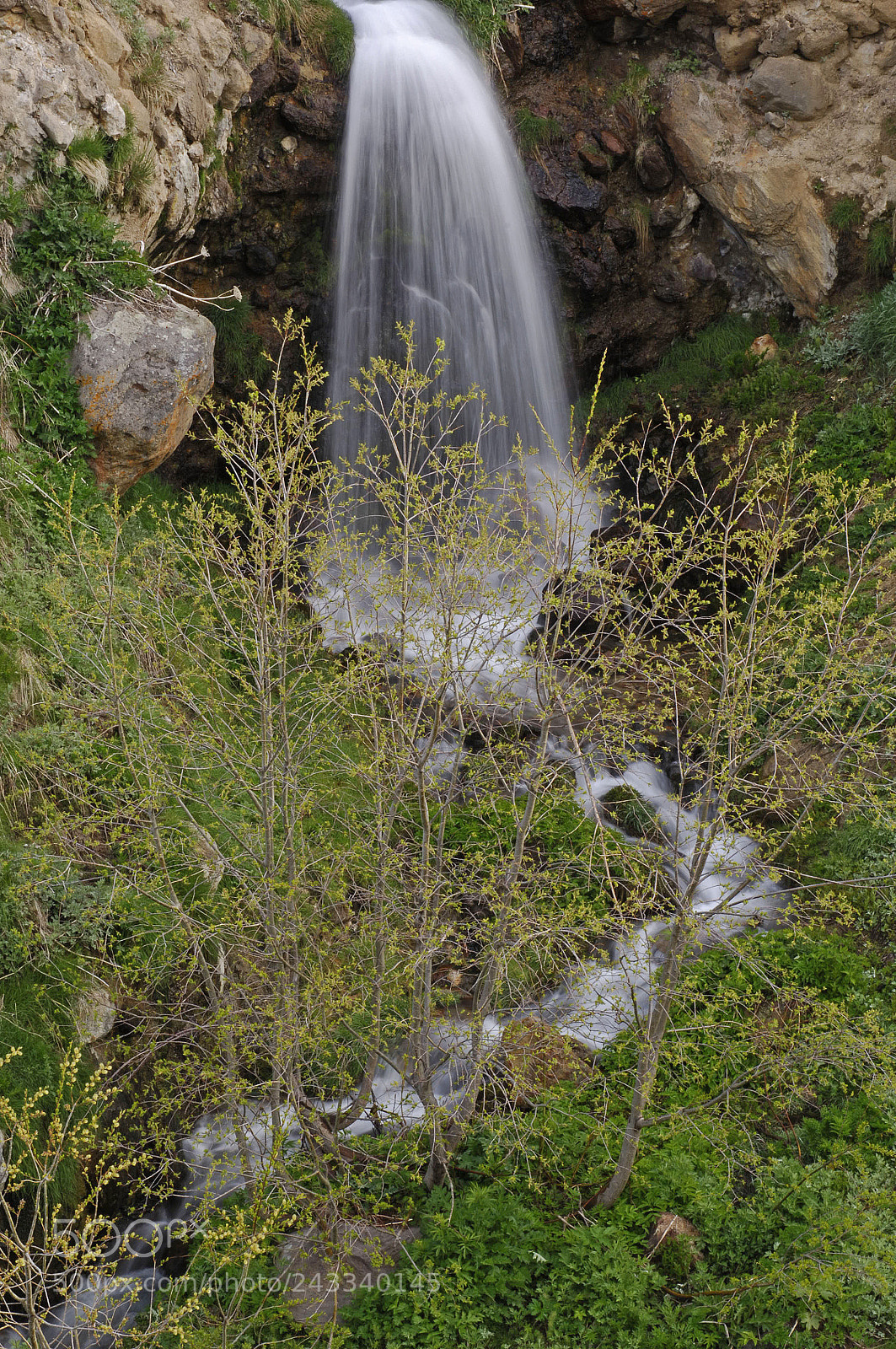 Nikon D2X sample photo. B~ photography