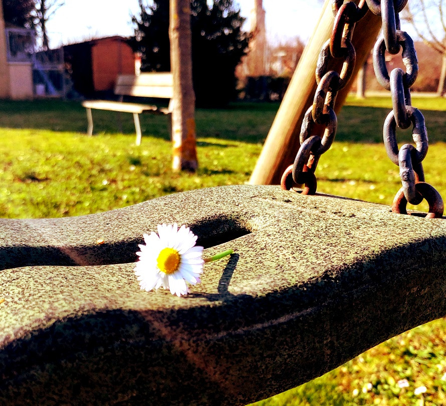 LG G5 SE sample photo. Fiore d'infanzia photography