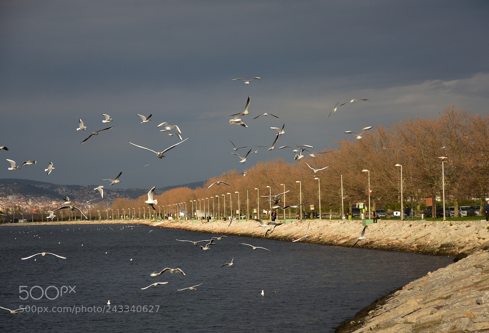 Nikon D7200 sample photo. Untitled photography