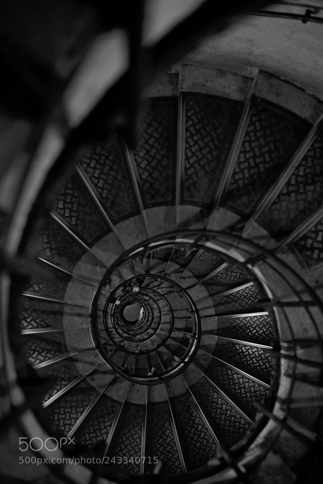 Nikon D810 sample photo. Untitled photography