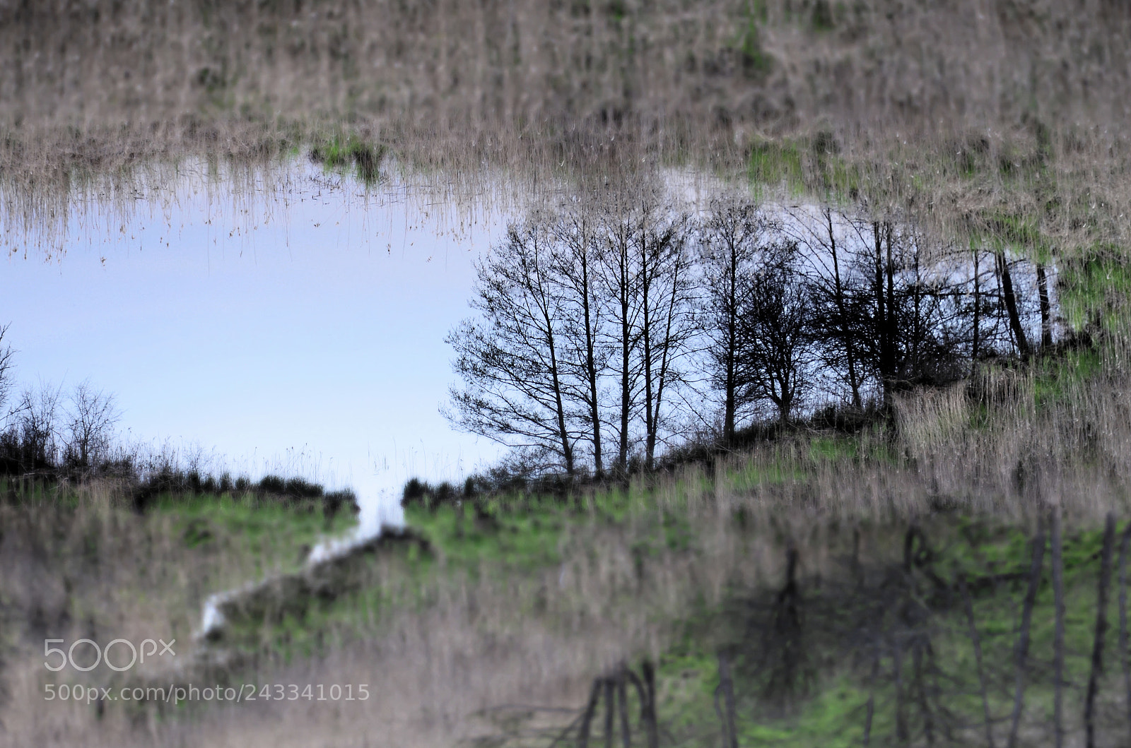 Nikon D5100 sample photo. The dreamworld photography