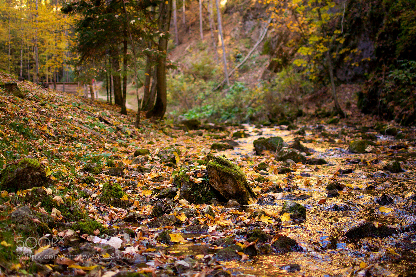 Nikon D5000 sample photo. Flow photography