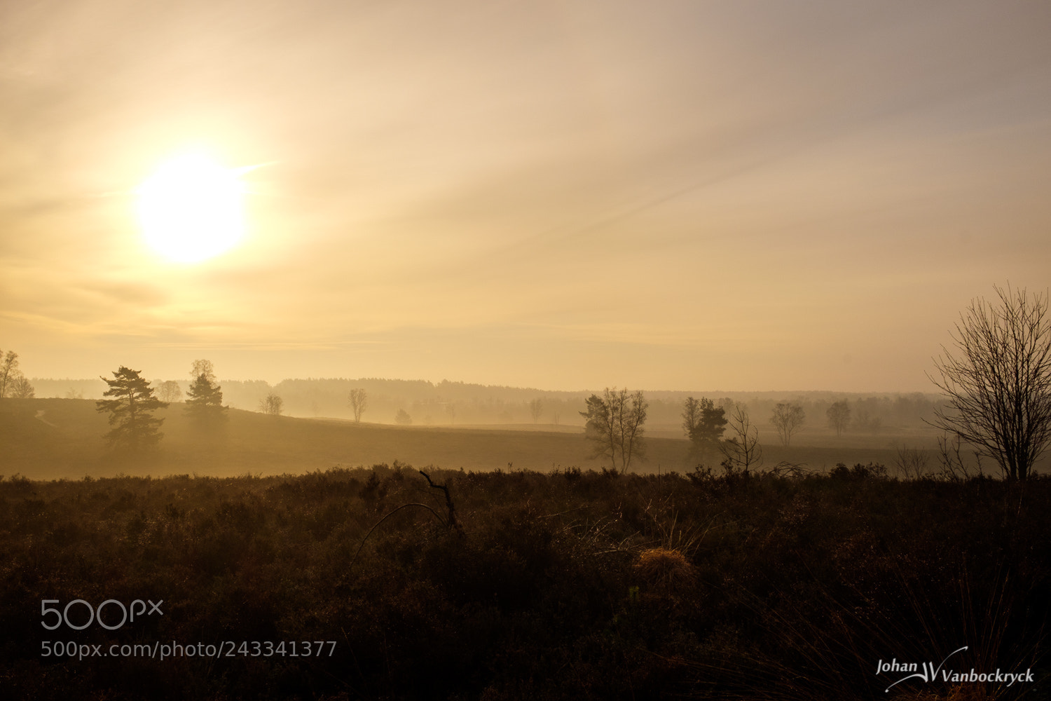 Fujifilm X100S sample photo. Good morning, zonhoven photography