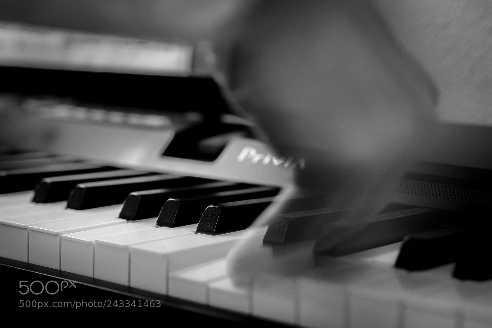 Sony a7 sample photo. Barrido 1 photography