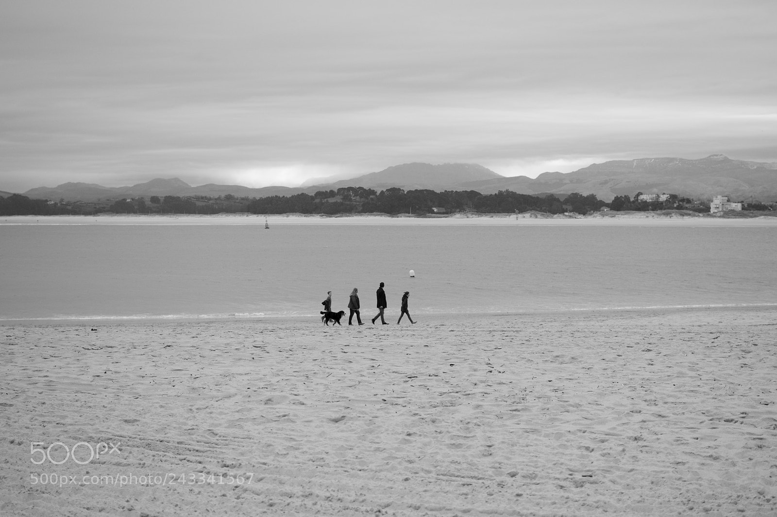 Nikon D610 sample photo. Walking by the bay photography