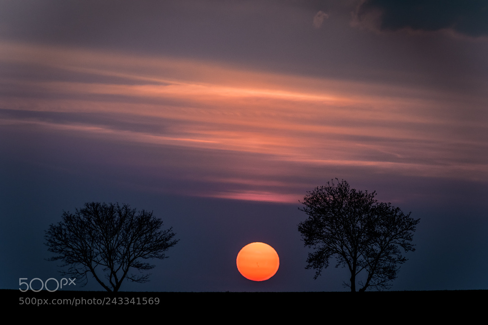 Nikon D810 sample photo. Good night see you photography