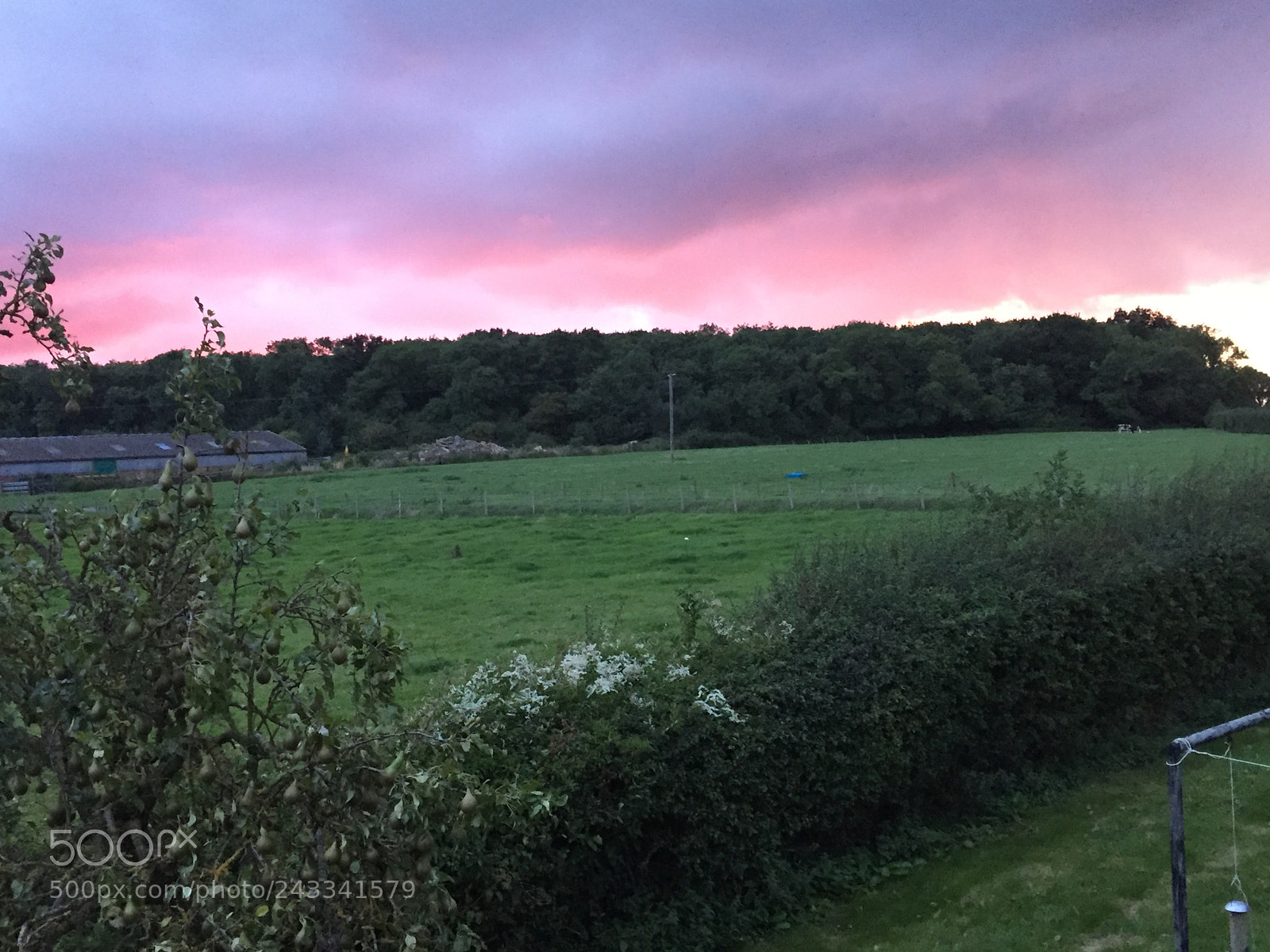 Apple iPhone 6 sample photo. View over fields. true photography