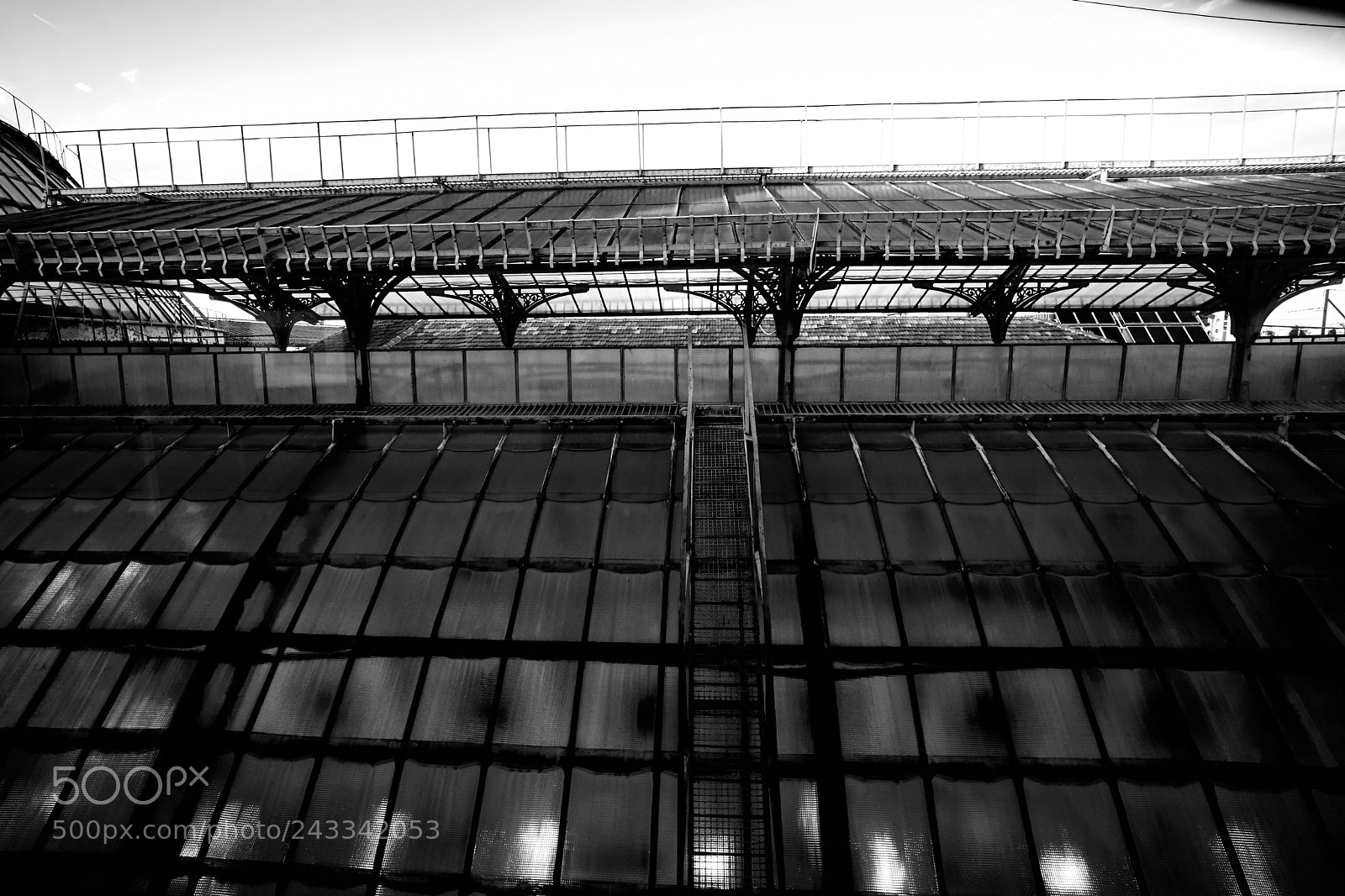 Sony Alpha NEX-7 sample photo. Glass roof photography