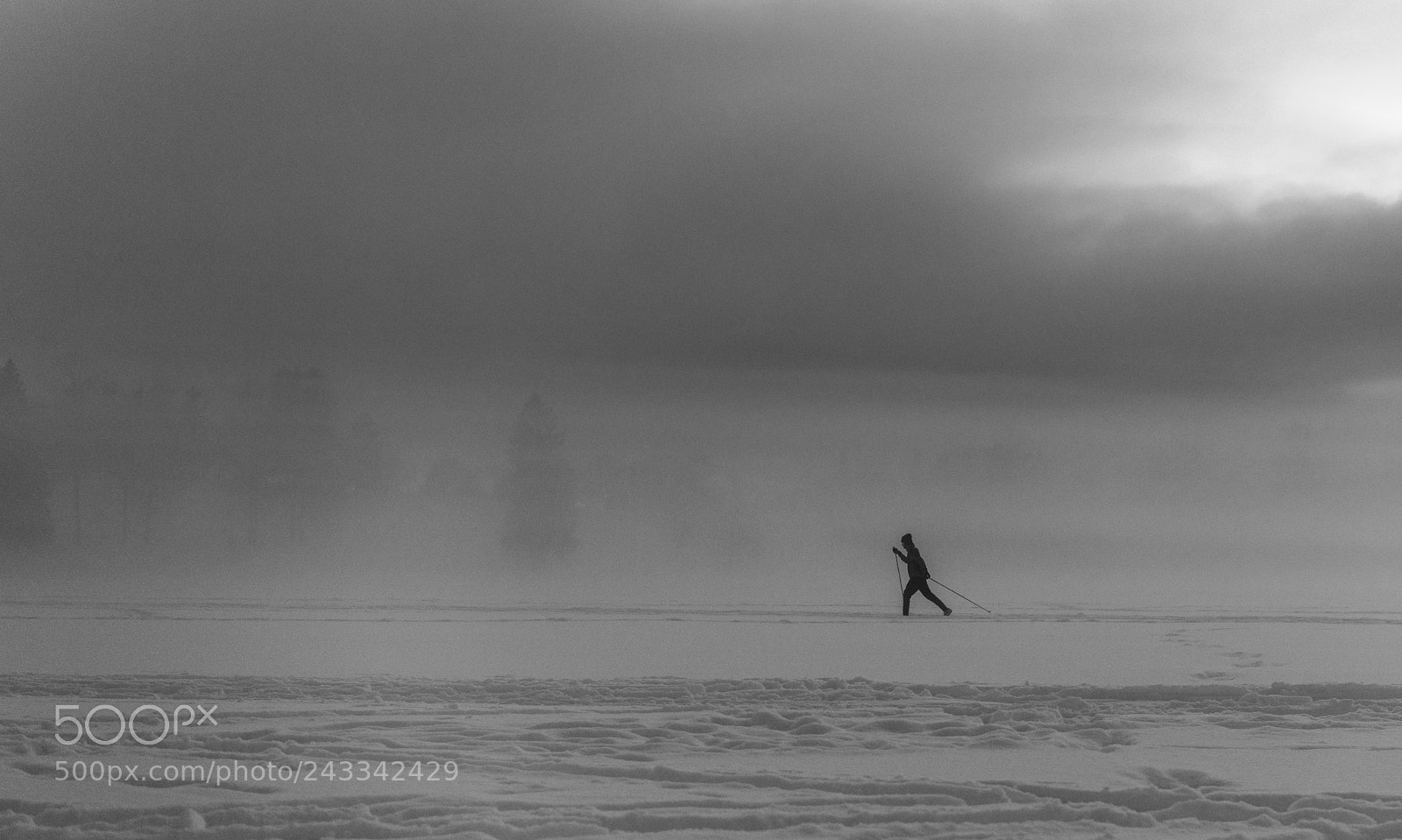 Nikon D850 sample photo. Long runner photography