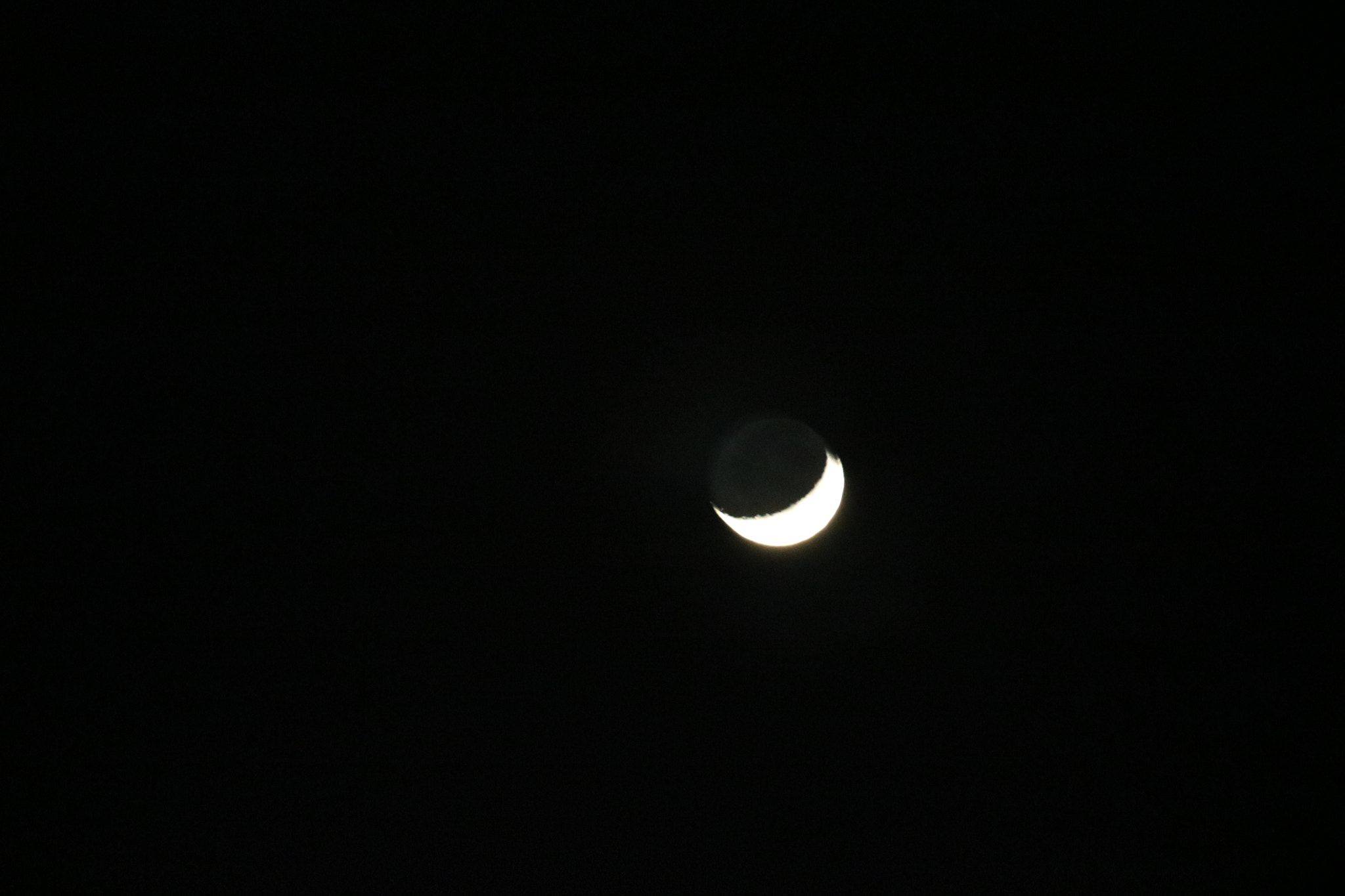 Canon EF-S 55-250mm F4-5.6 IS sample photo