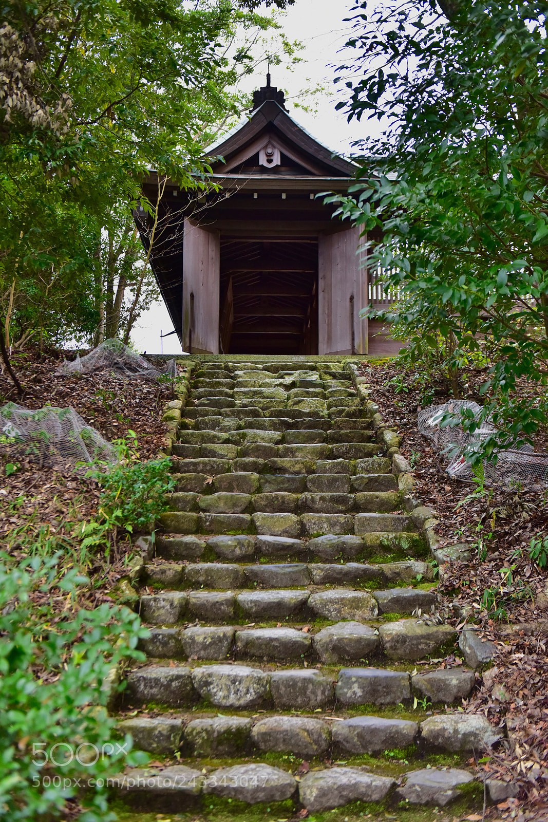 Nikon D810 sample photo. Steps of a shrine photography