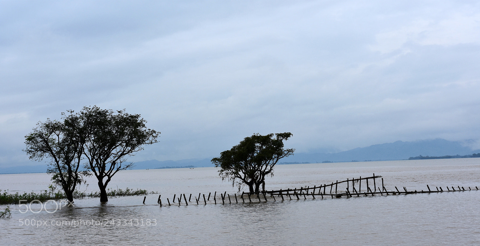 Nikon D7200 sample photo. Untitled photography